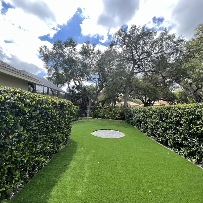 Side Yard