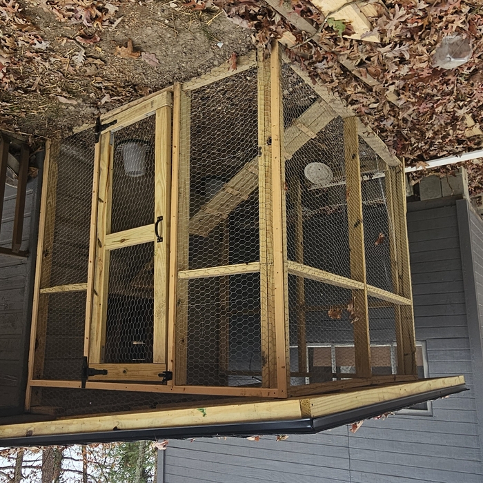 Chicken Coop