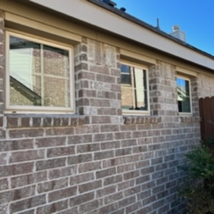 Smaller windows on side of house shining!