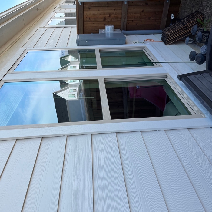 Backyard windows