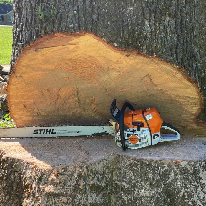 Tree Work!