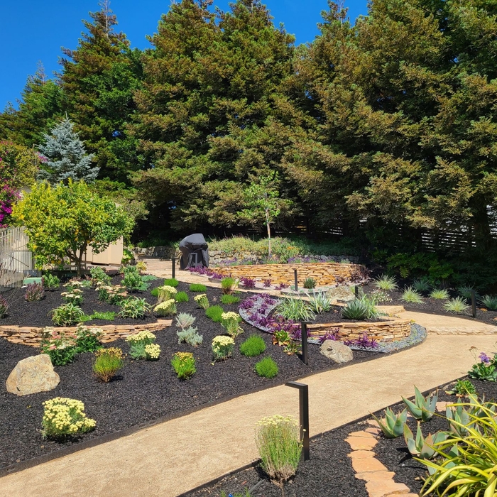 Tiburon,CA Finished