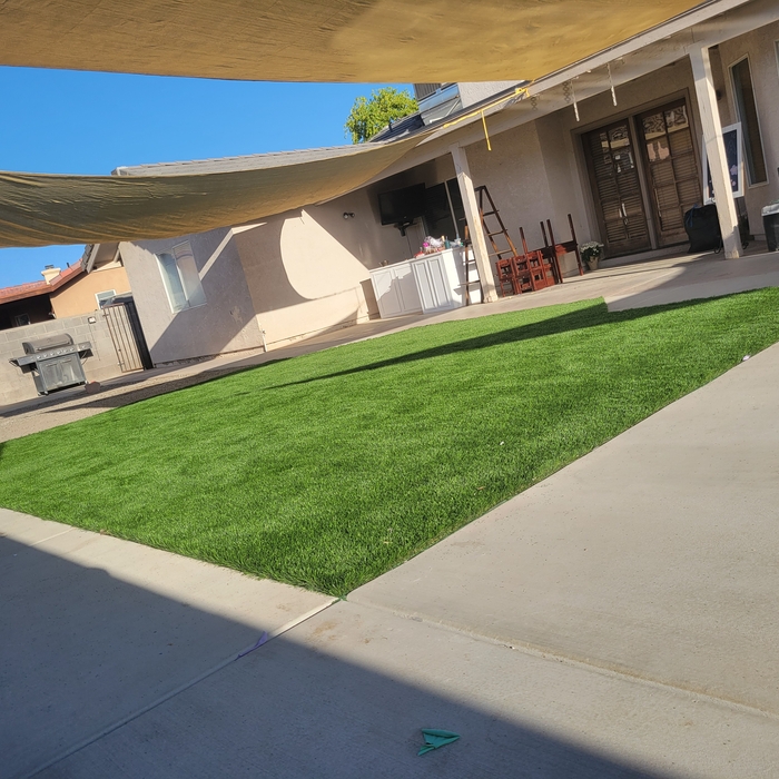 Turf and Concrete sidewalk