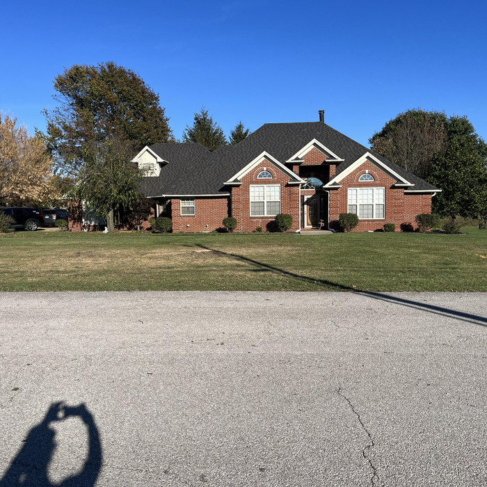Removed Dogwood Trees