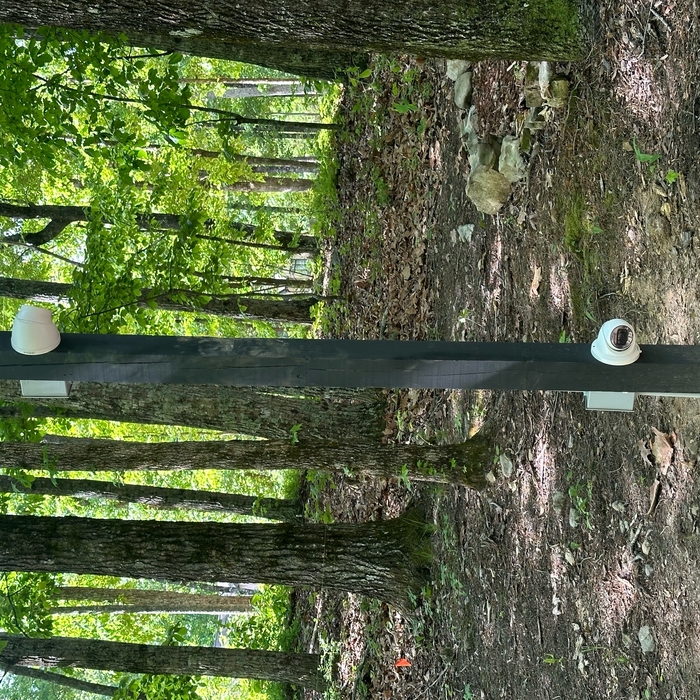 Security Pole