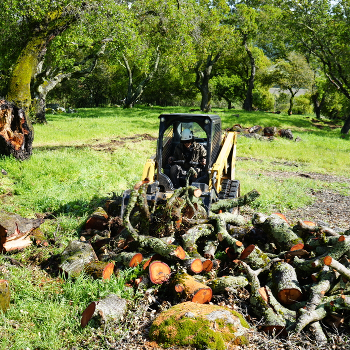 moving wood
