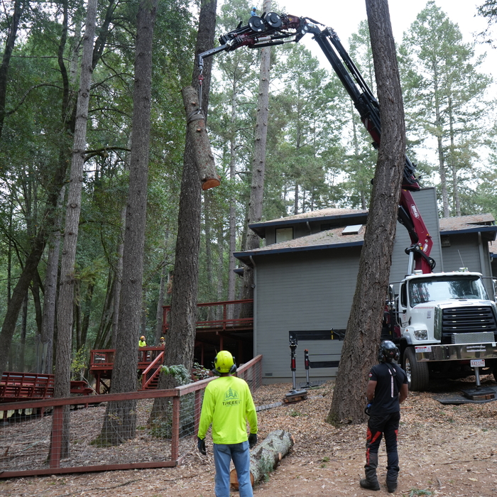 Removing with crane