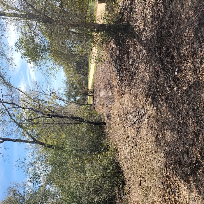 Fence Clearing