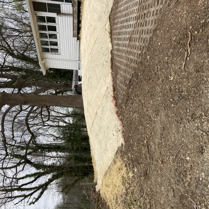 Slope graded with fresh soil