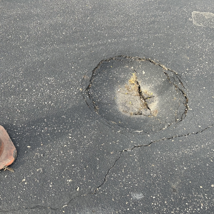 Sink Hole