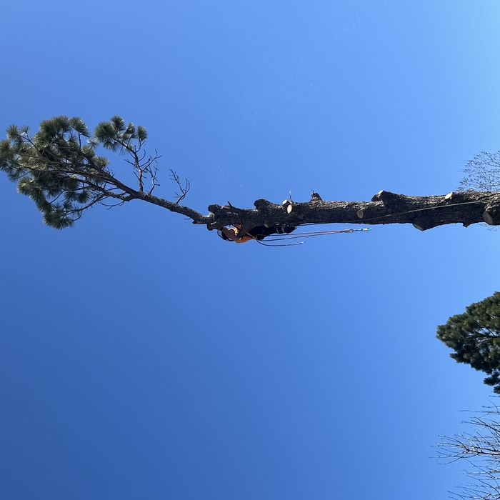 Topping out