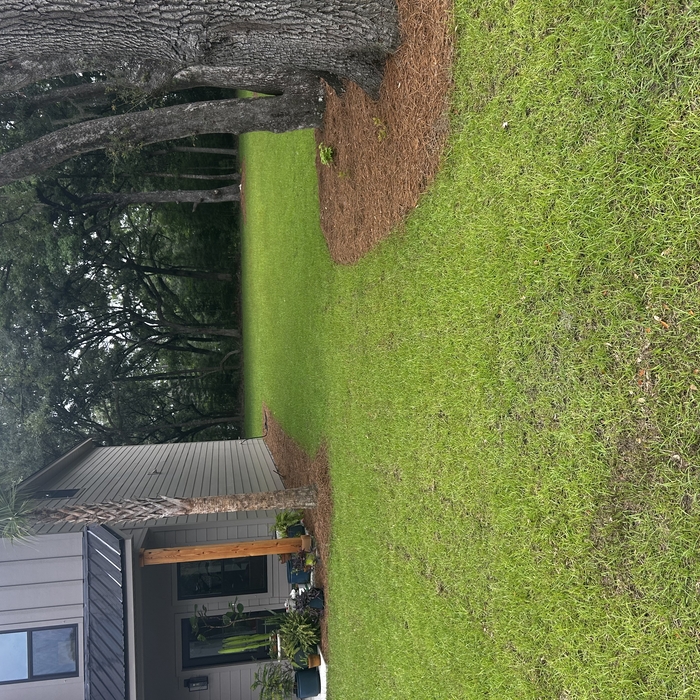New Lawn