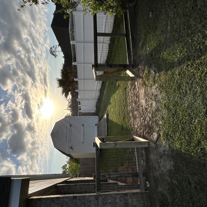 New Backyard Fences