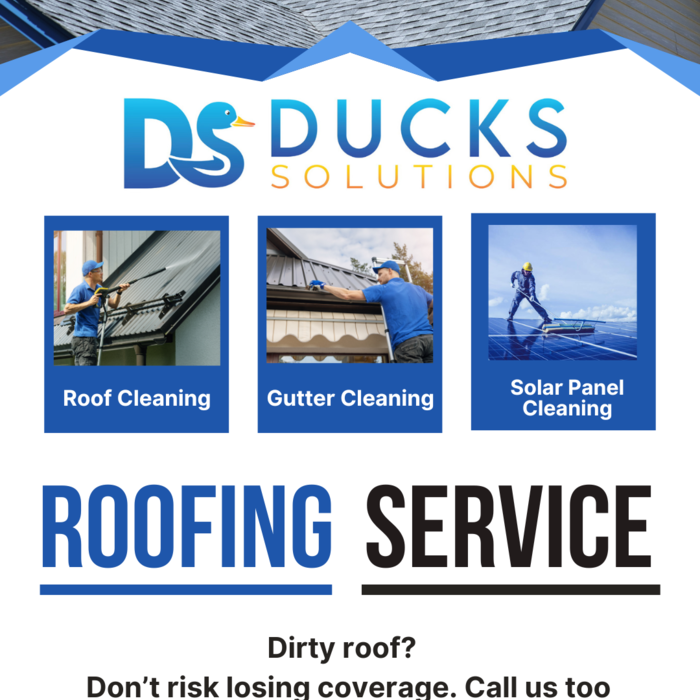 ROOF CLEANING