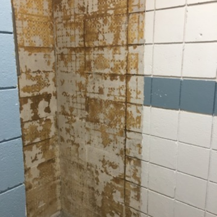 Shower Remodel