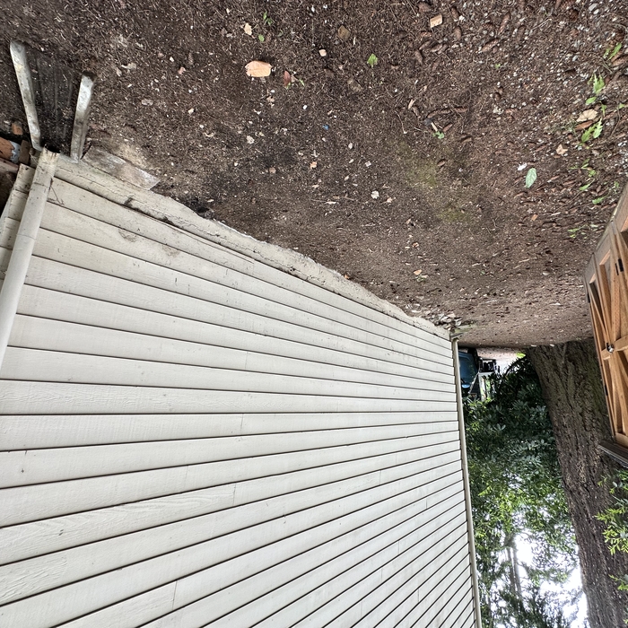 Backyard debris and building material