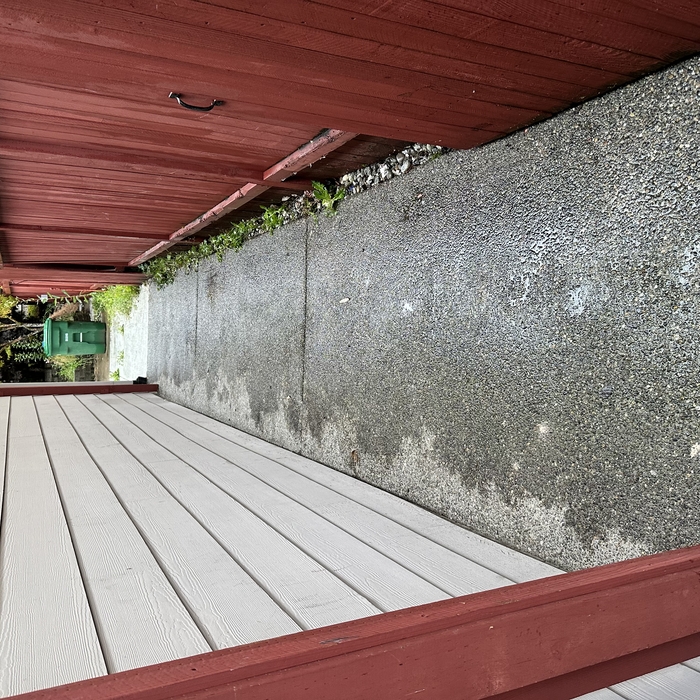 Residential Cleanout (After)