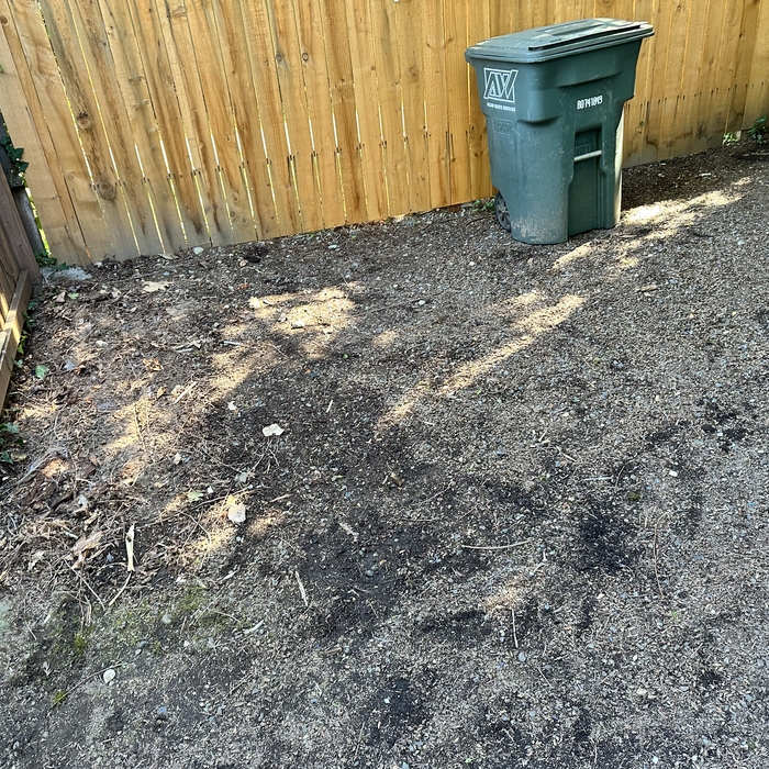 Garage and Backyard Cleanup (After)