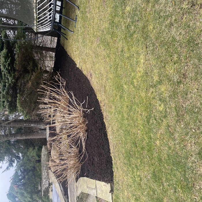 mulching