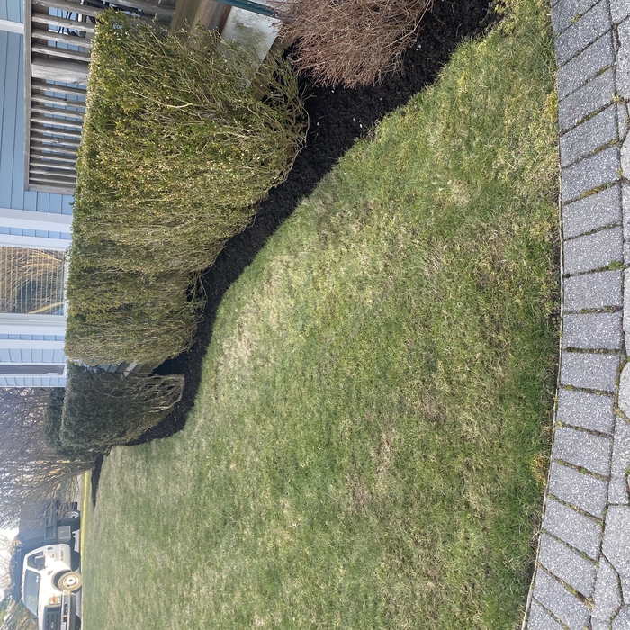 mulching