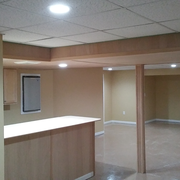 Wet bar and basement remodel