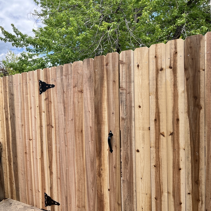 fence with 1x6x6 pickets