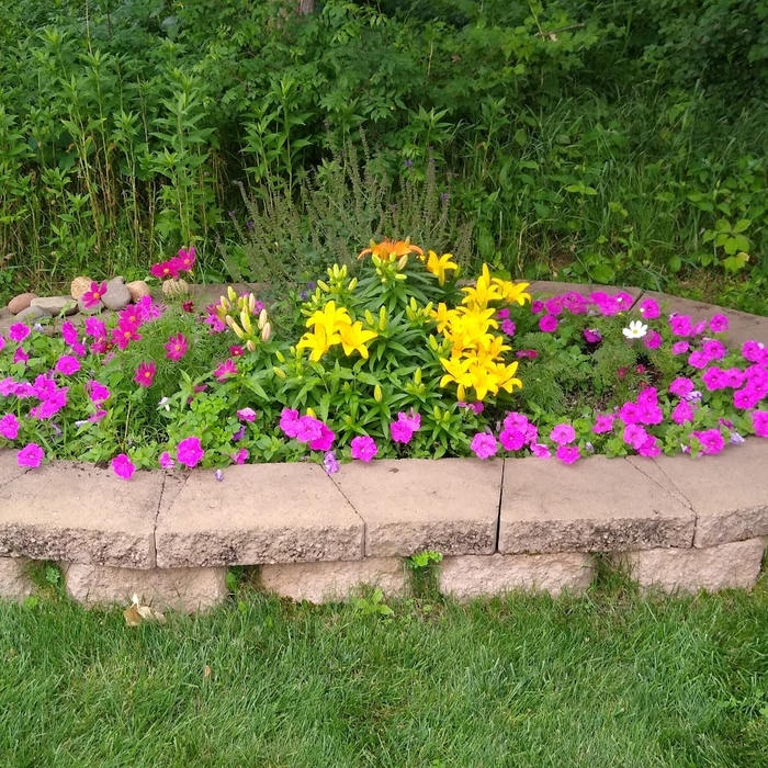 Flower Bed