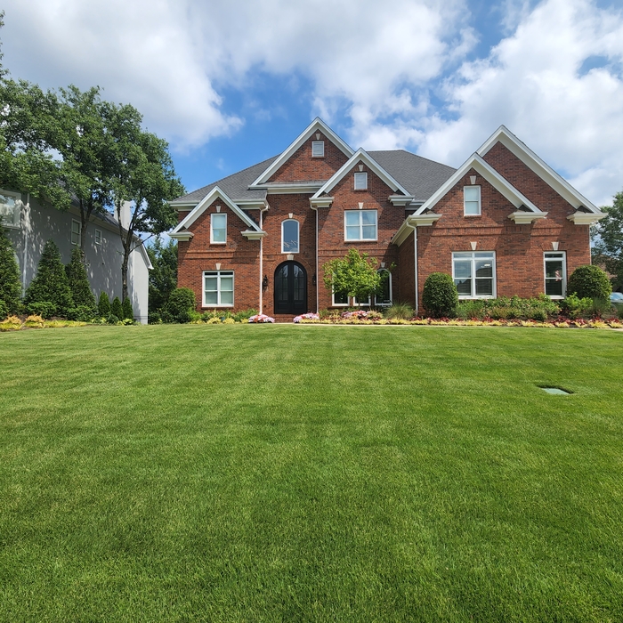 Full Front Yard