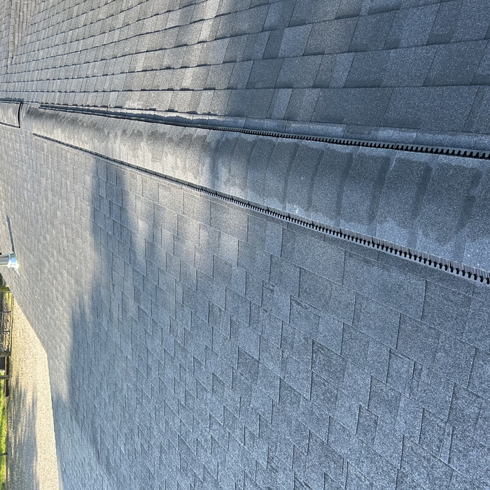 Ridge Vent