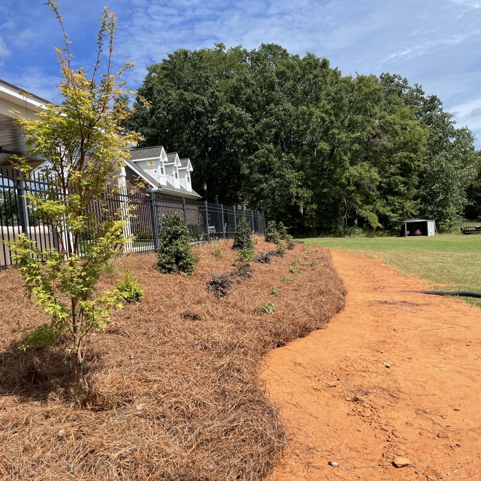 Landscaping