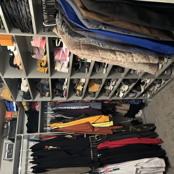 Custom closet organized