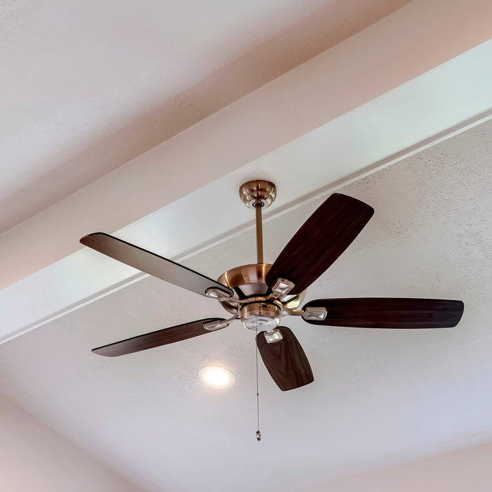 Ceiling Fan