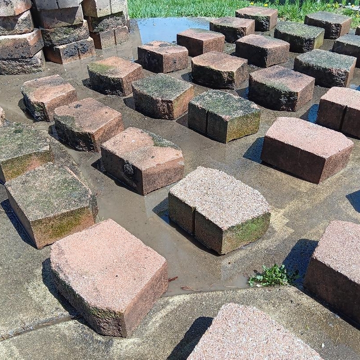 Power washed Brick Pavers