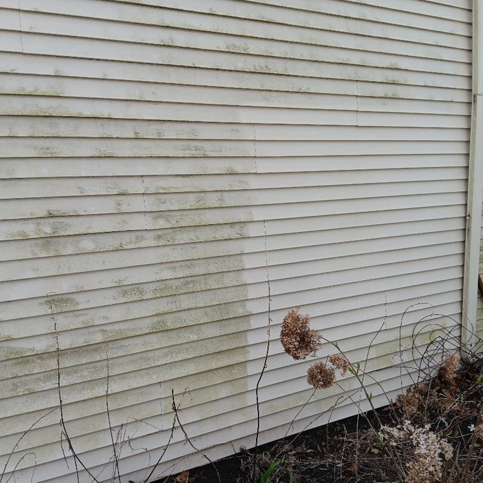 Power washed entire home