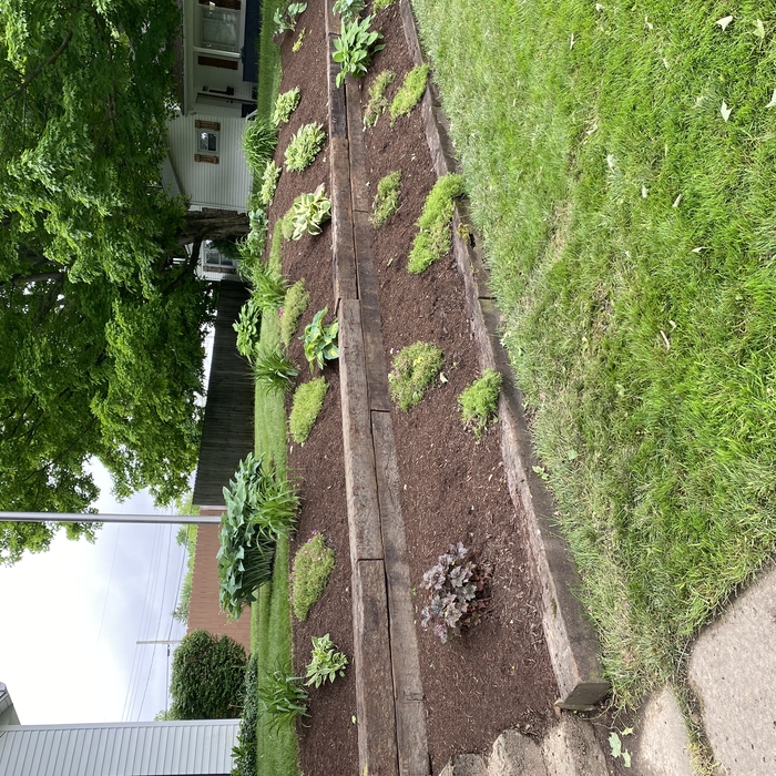 Railroad tie wall