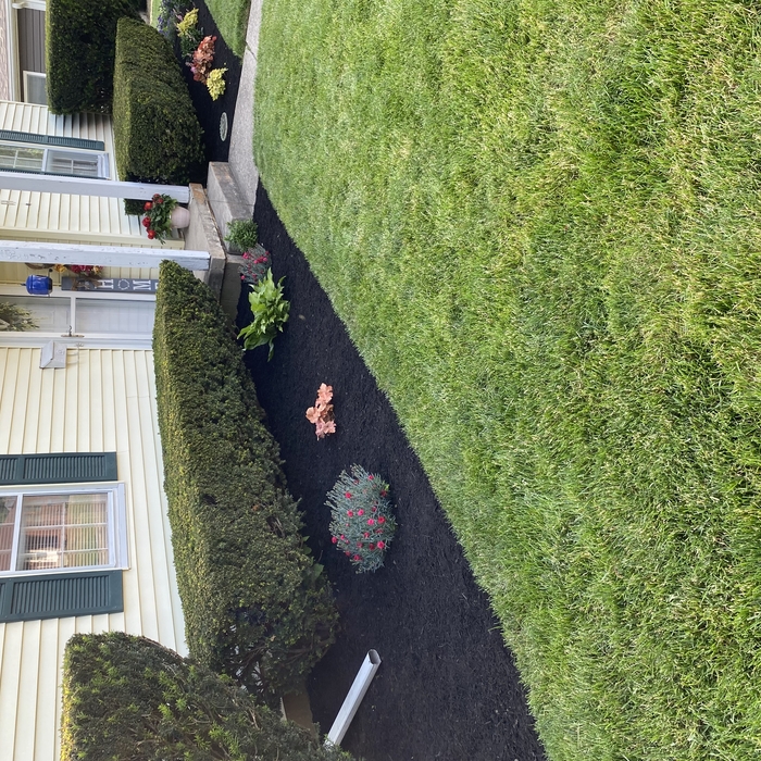 Mulch and bush trimming