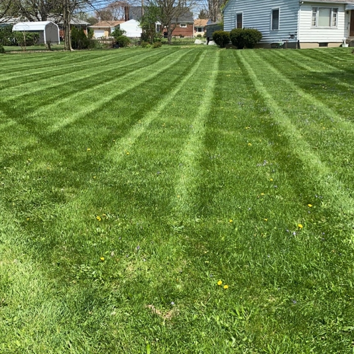 Mowing