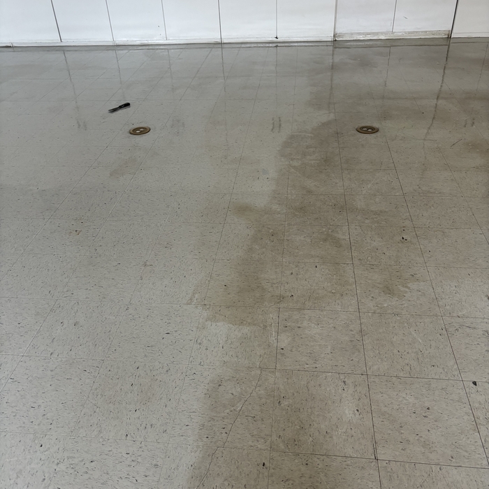 Stripping and Waxing School VCT Tile