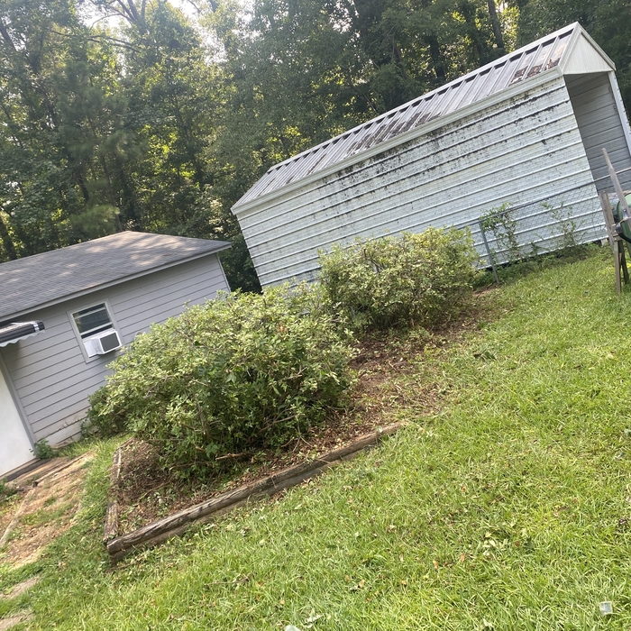 Bush Trimming