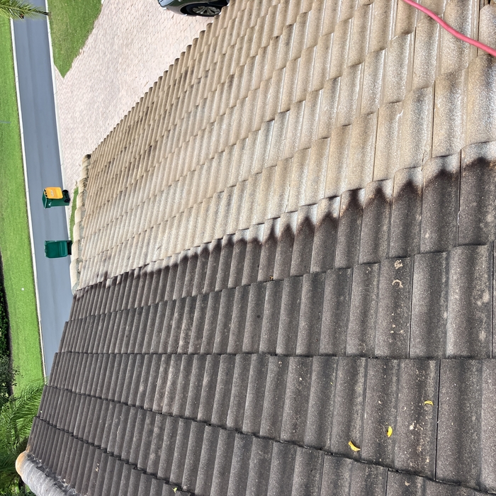 Roof Cleaning