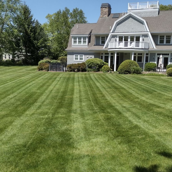 Mowing service