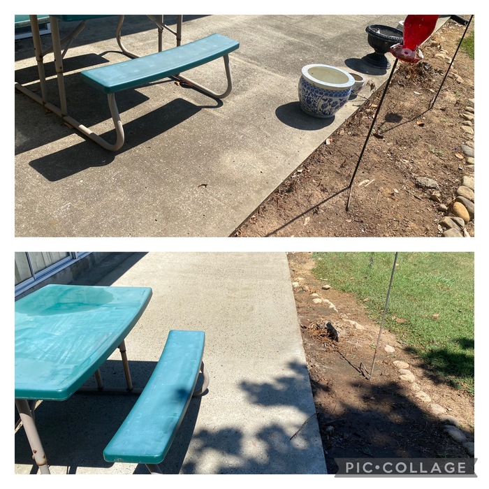 Back Patio