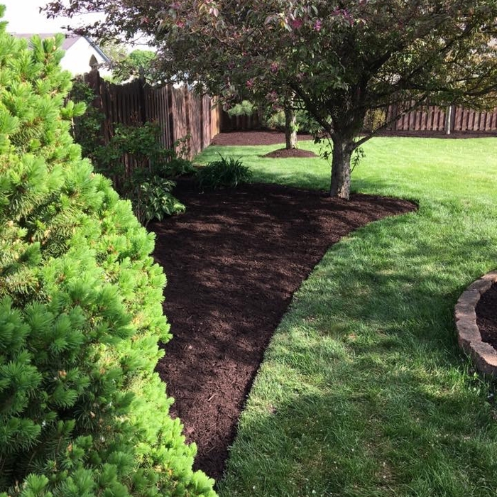 Dark brown mulch for the win