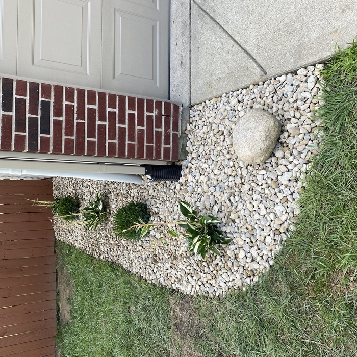 New perennials made these clients happy