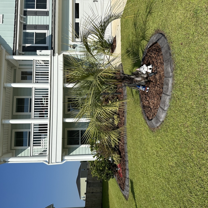Concrete Curbing