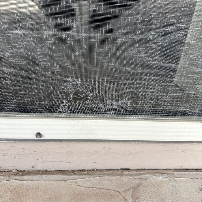 Replaced Patio Door Screen