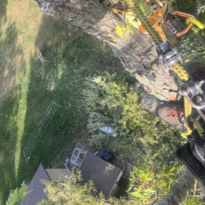 Look out below