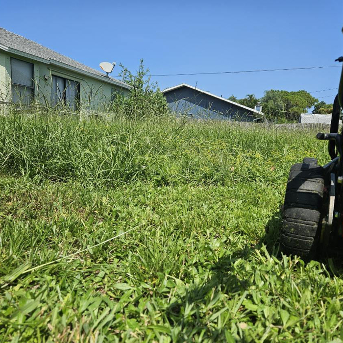 Mowing