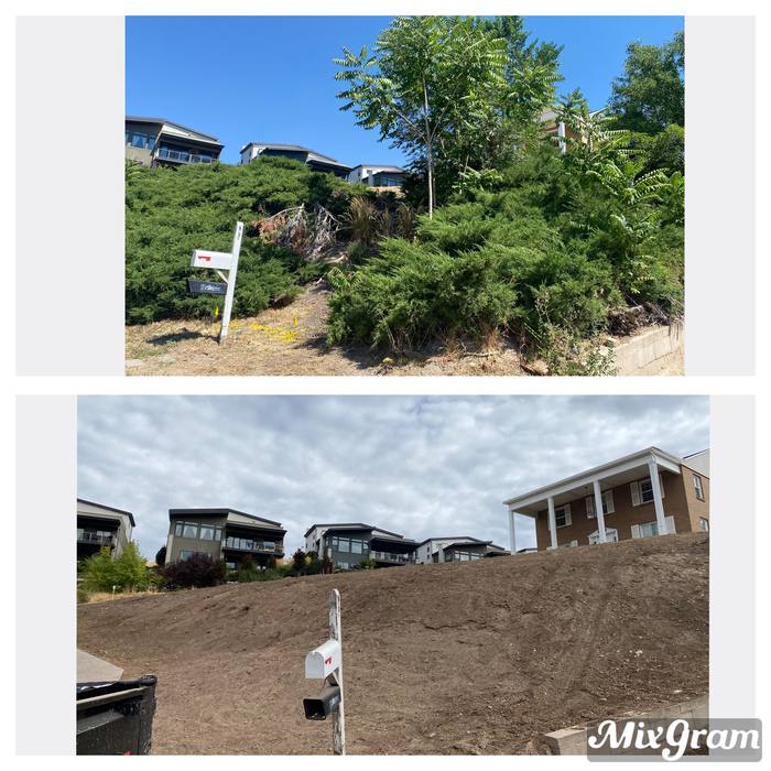 Before and After Photos