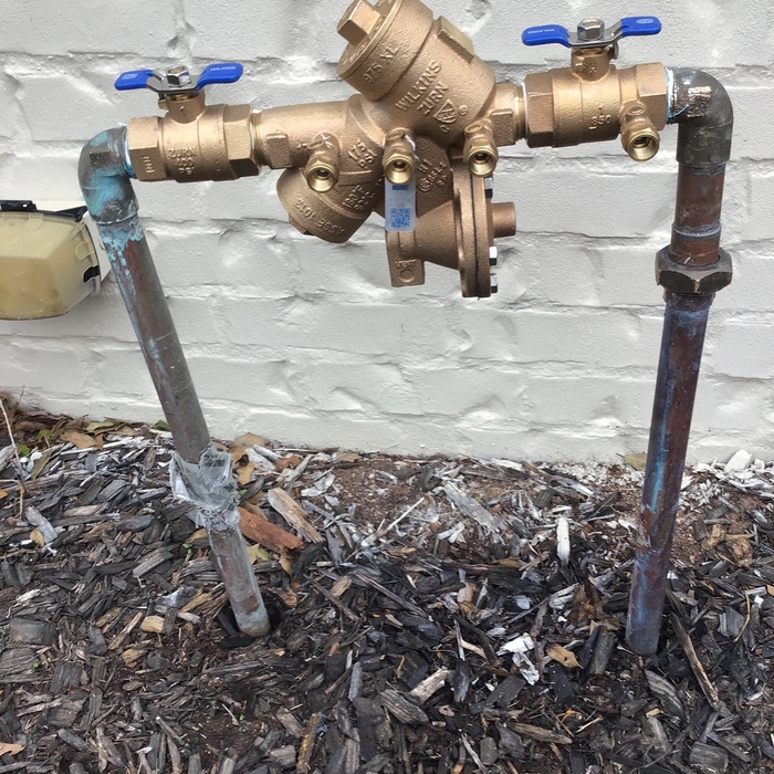 Backflow replacement